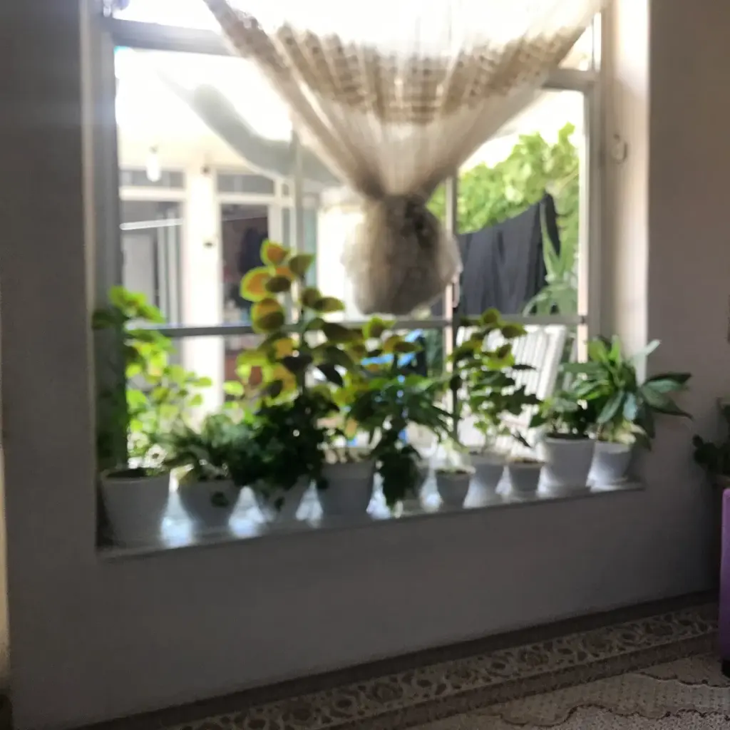 فروش زمین و کلنگی 124 متری در مینابی - تصویر 8