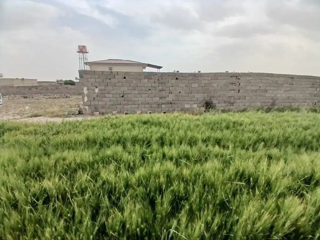 فروش زمین و کلنگی 420 متری در بوستان چیتگر