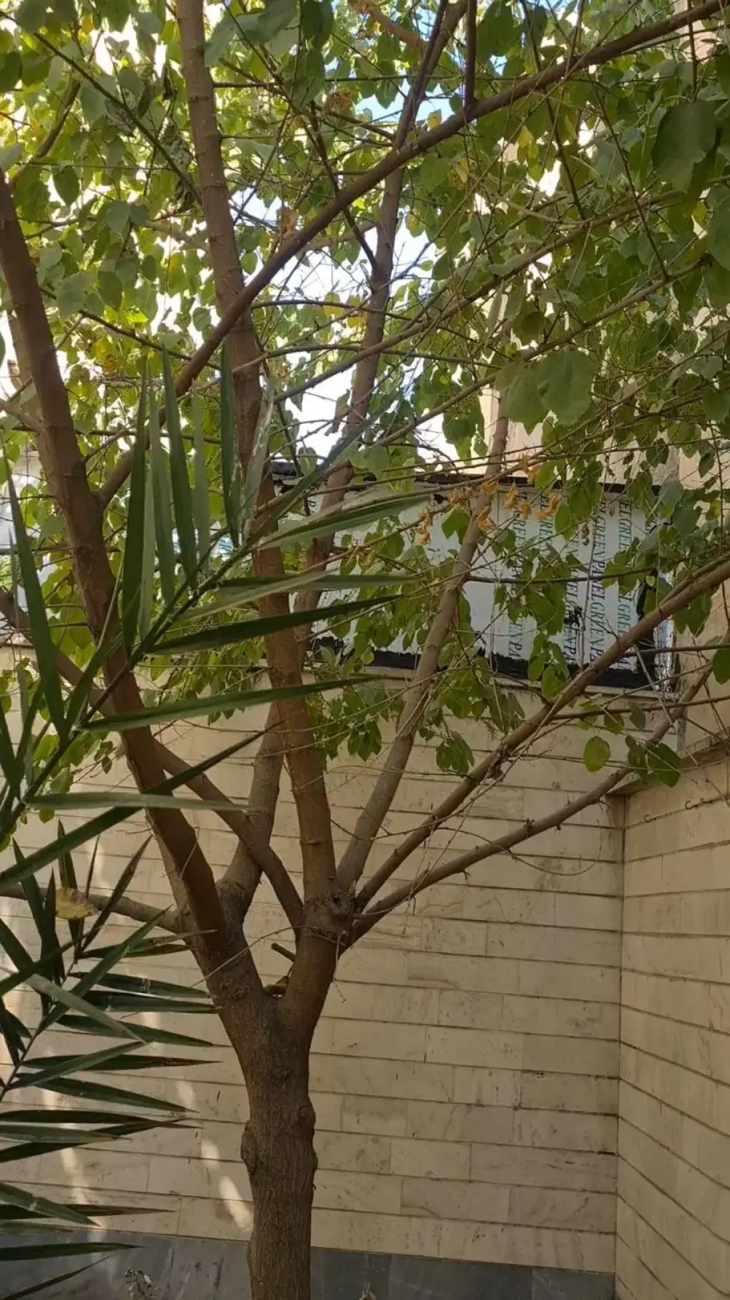 اجاره اداری و تجاری 10 متری در پونک - تصویر 2