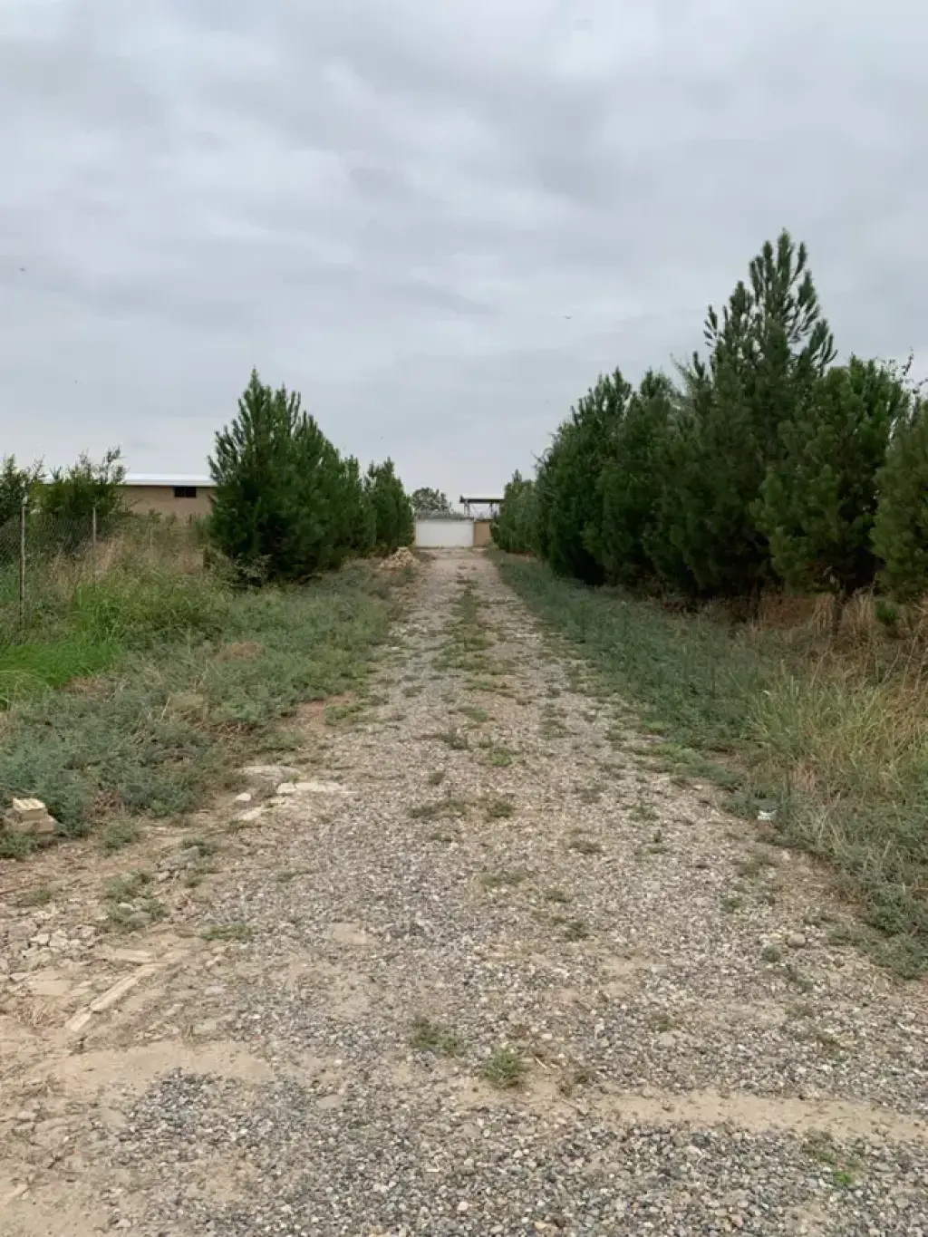 فروش اداری و تجاری 2420 متری در فتح - تصویر 3