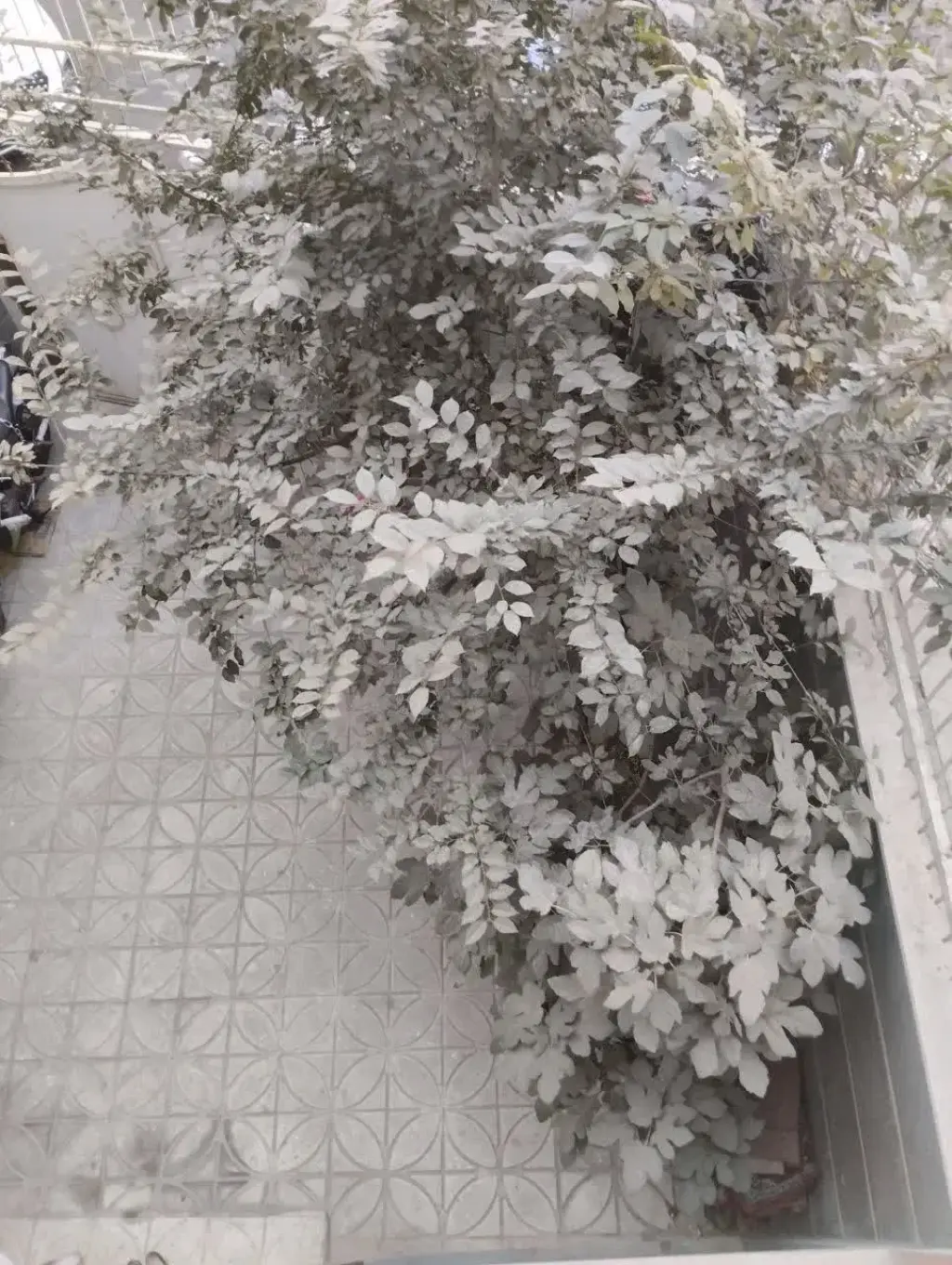 فروش زمین و کلنگی 240 متری در اقدسیه (شهرری) - تصویر 2