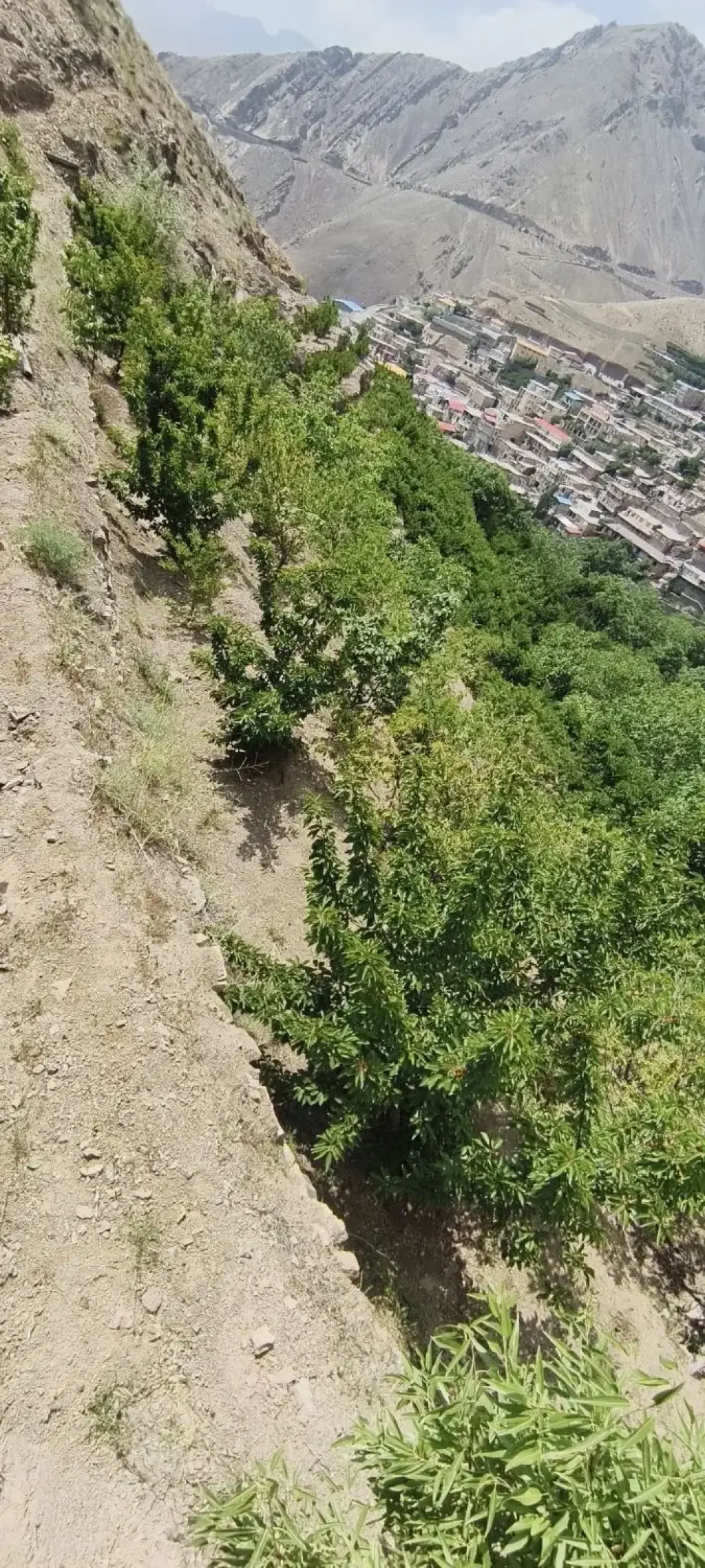 فروش زمین و کلنگی 980 متری در بهاران - تصویر 5