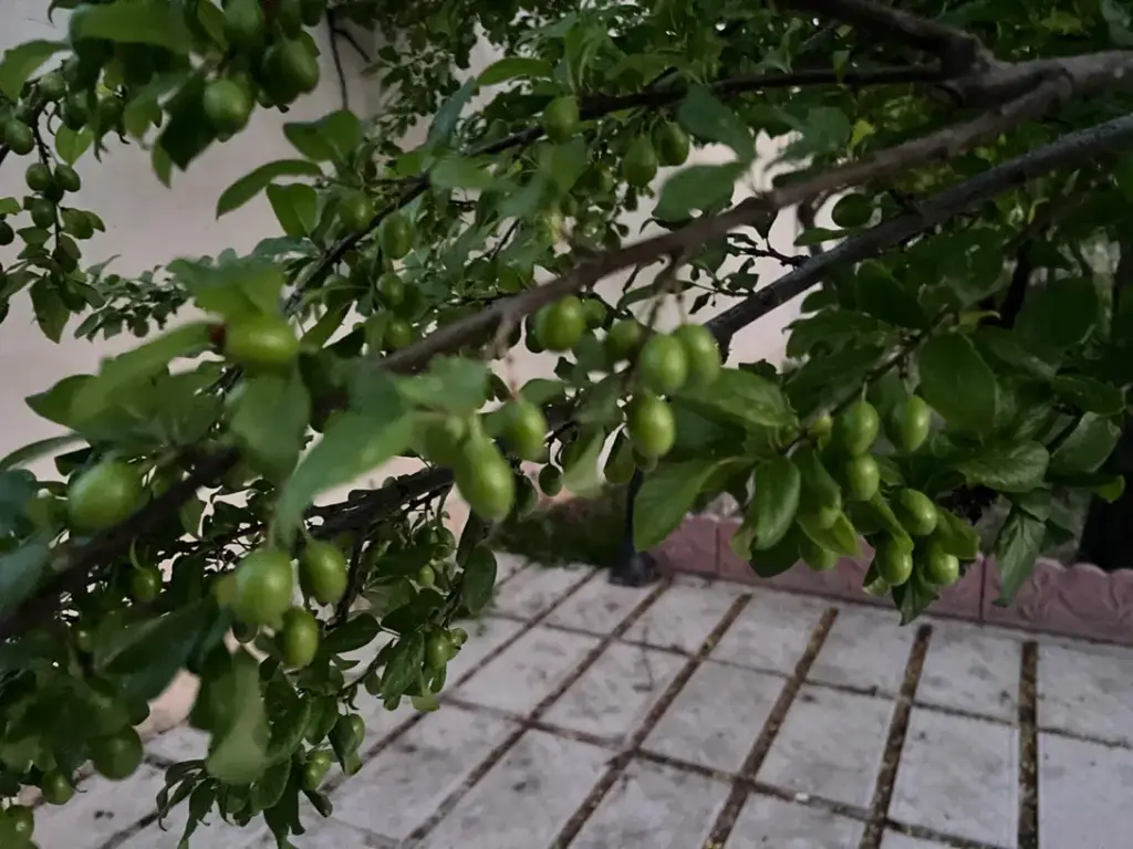 فروش خانه و ویلا 582 متری در سعادت‌آباد - تصویر 13