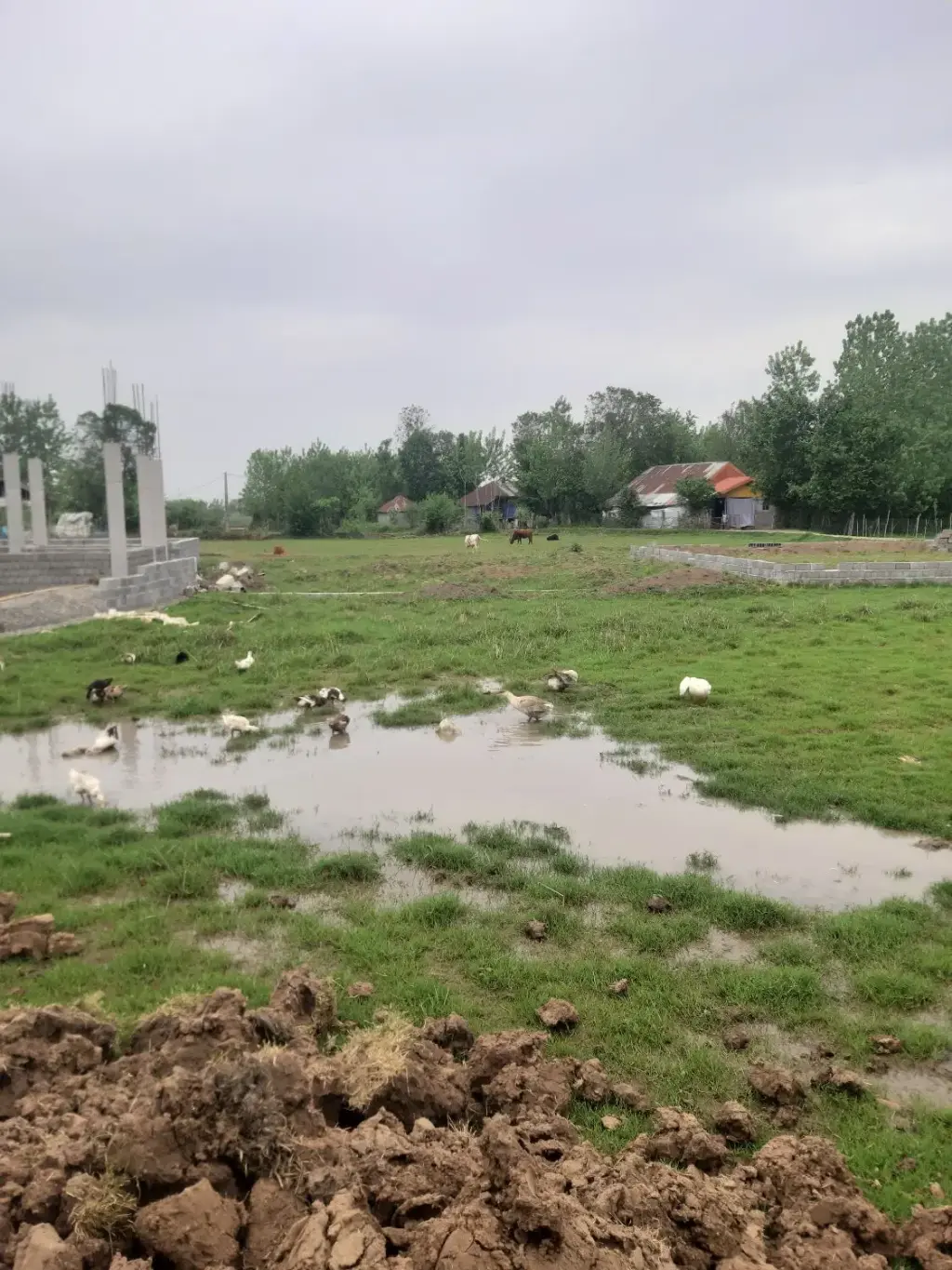 فروش زمین و کلنگی 270 متری در فردوسی - تصویر 3