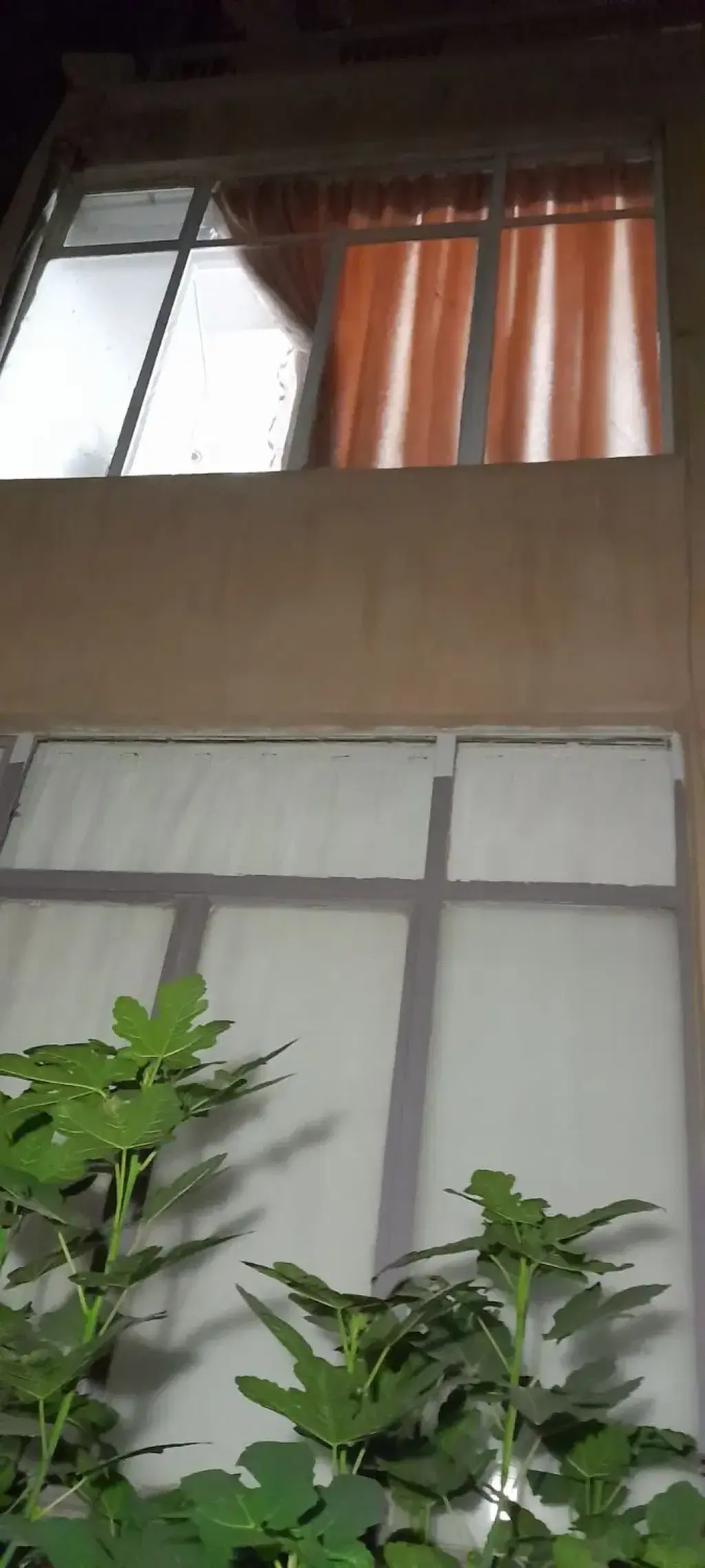 فروش زمین و کلنگی 48 متری در دولاب
