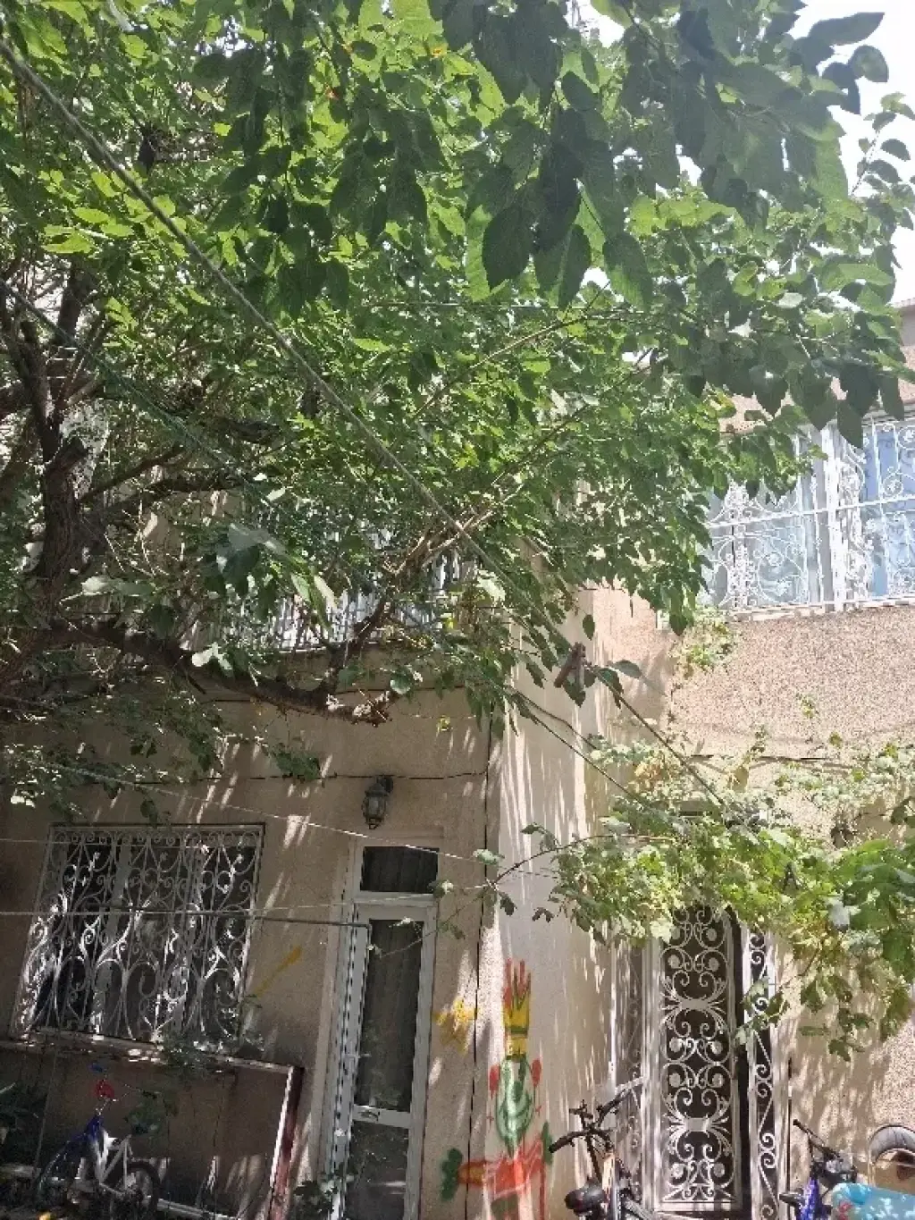 فروش زمین و کلنگی 256 متری در اختیاریه - تصویر 3