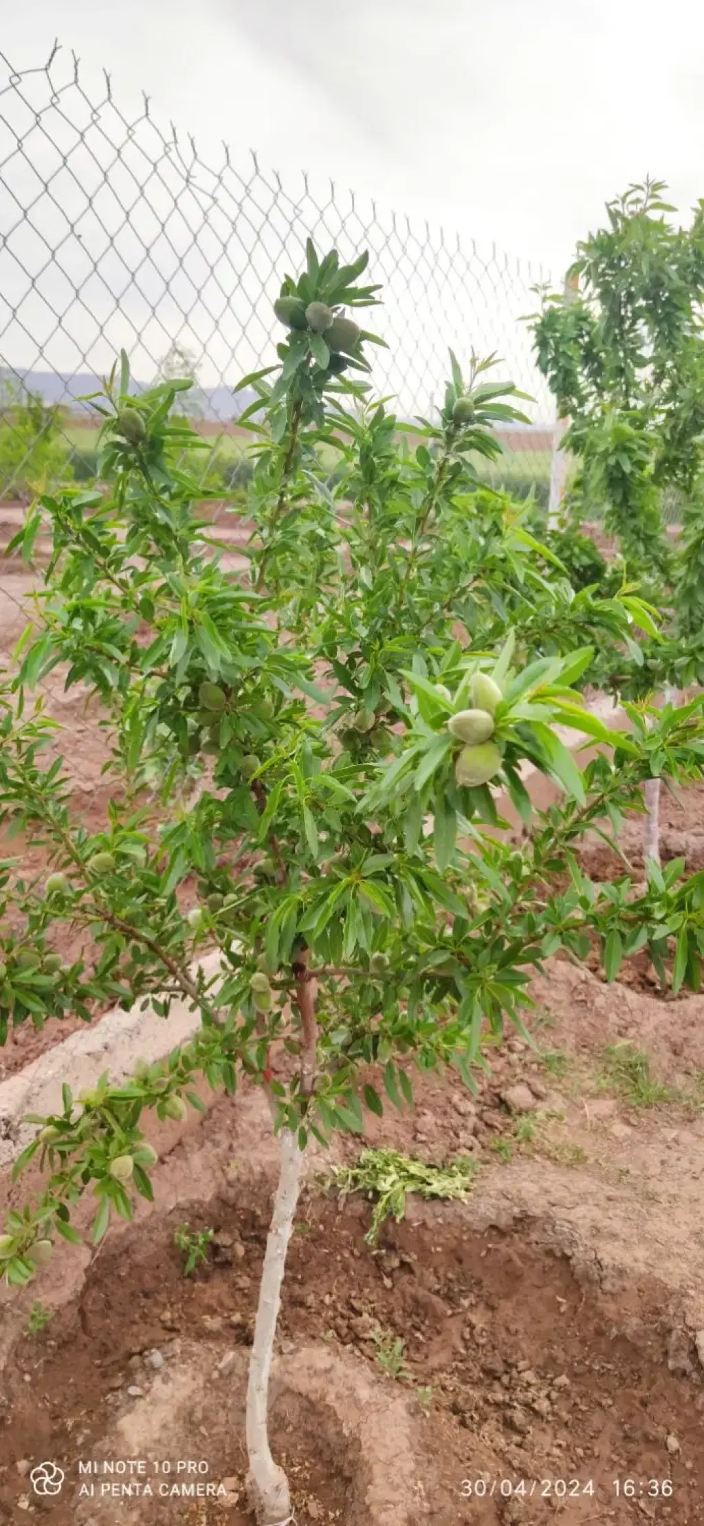 فروش خانه و ویلا 1000 متری در جمهوری - تصویر 16