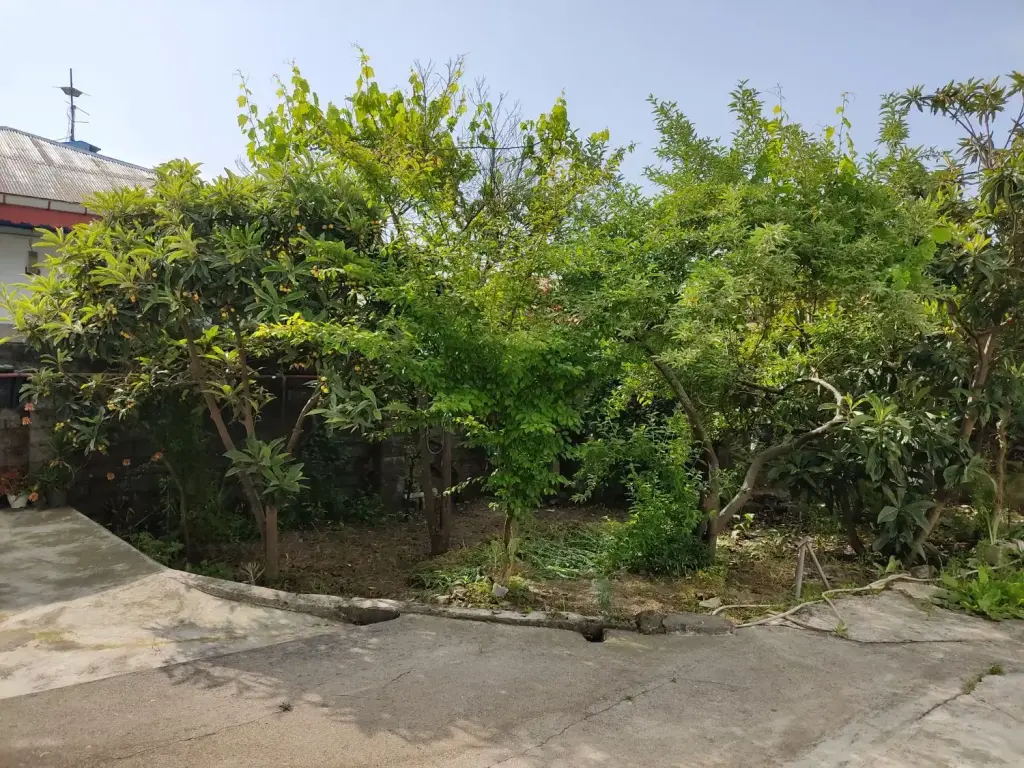 فروش خانه و ویلا 422 متری در آذربایجان - تصویر 4