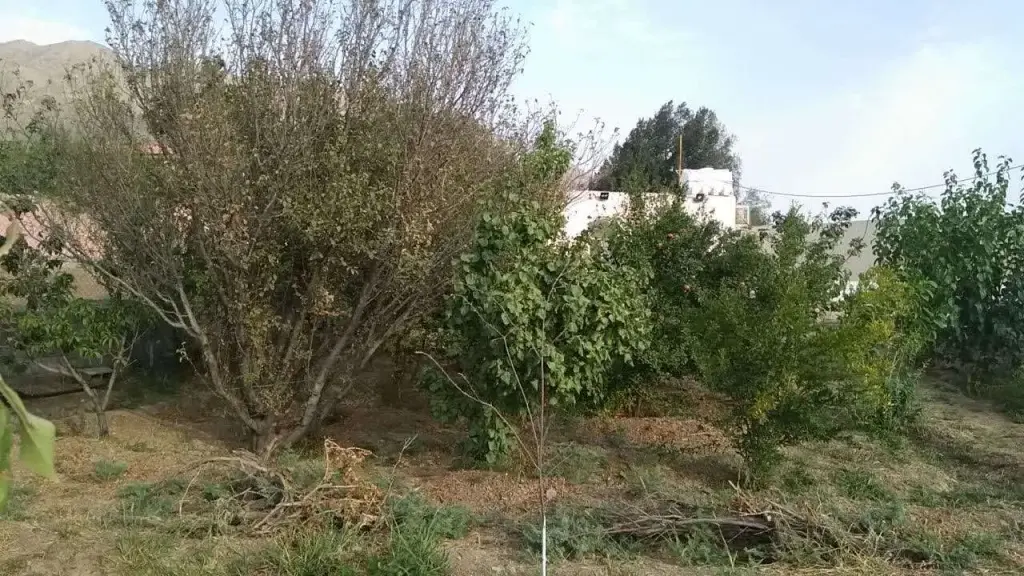 فروش خانه و ویلا 872 متری در اراضی عباس آباد - تصویر 11