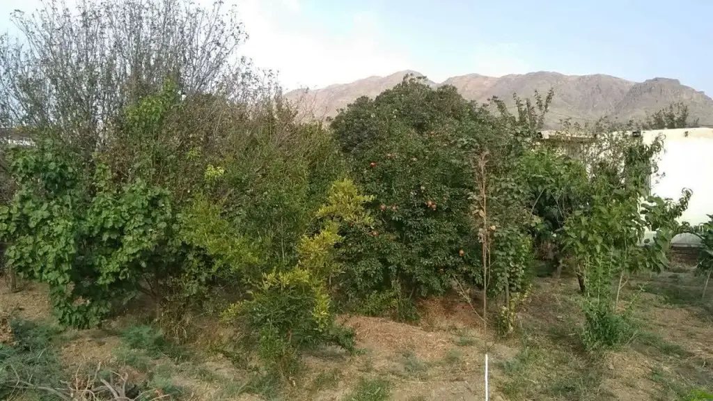 فروش خانه و ویلا 872 متری در اراضی عباس آباد - تصویر 10