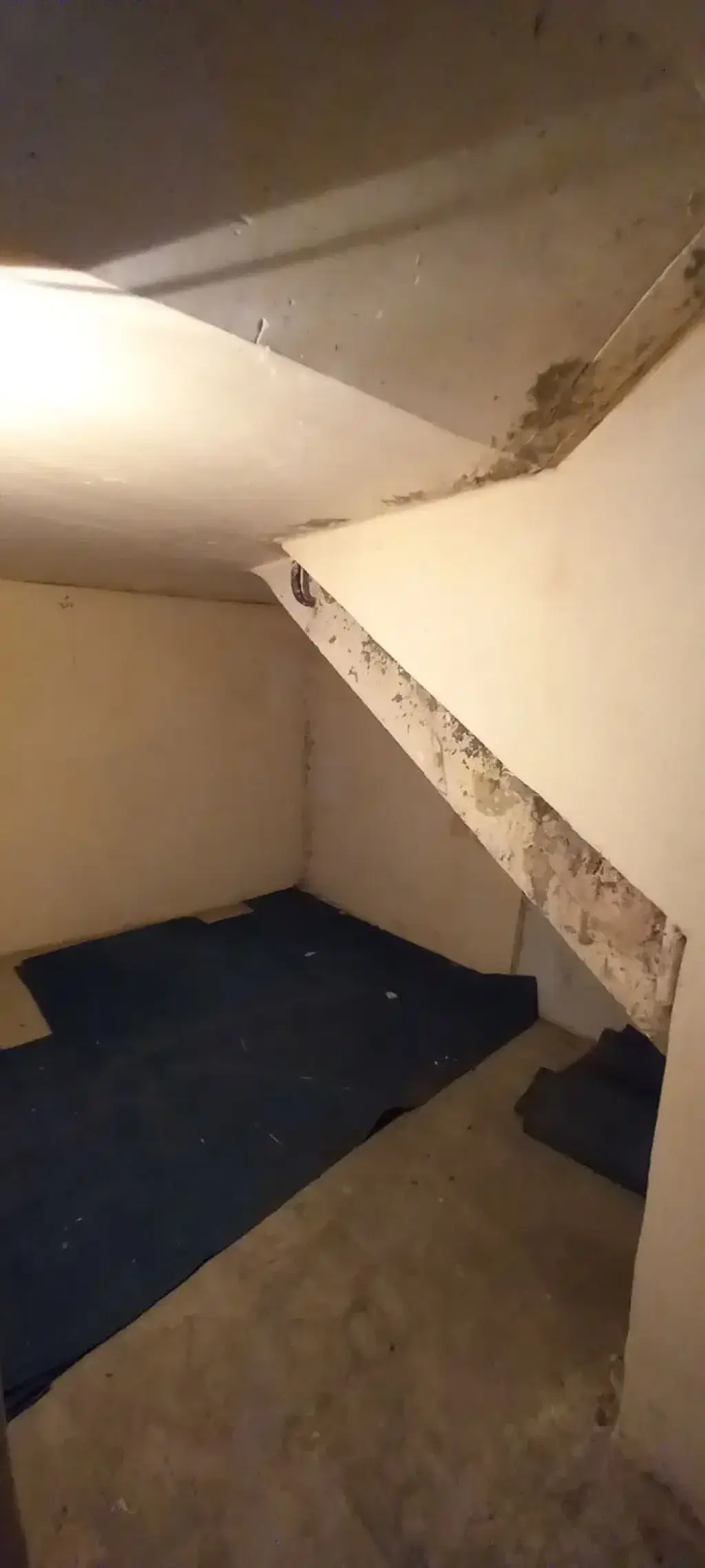 اجاره آپارتمان 137 متری در دبستان - تصویر 10