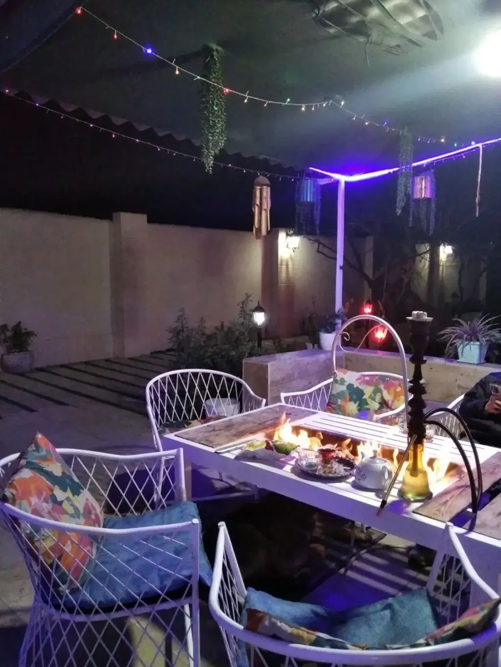 اجاره خانه و ویلا 600 متری در خلیج فارس - تصویر 4