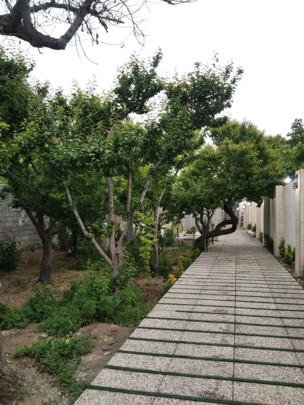 اجاره خانه و ویلا 600 متری در خلیج فارس - تصویر 5