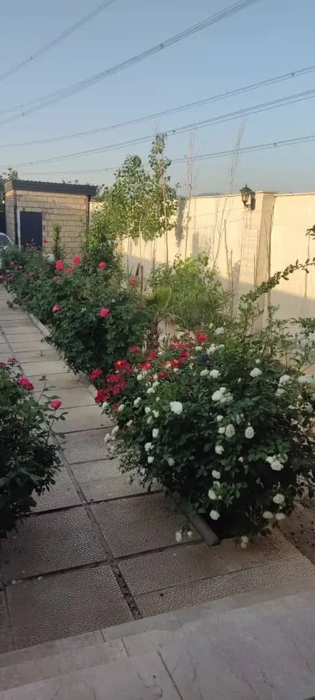 فروش خانه و ویلا 250 متری در جنت‌آباد جنوبی - تصویر 3