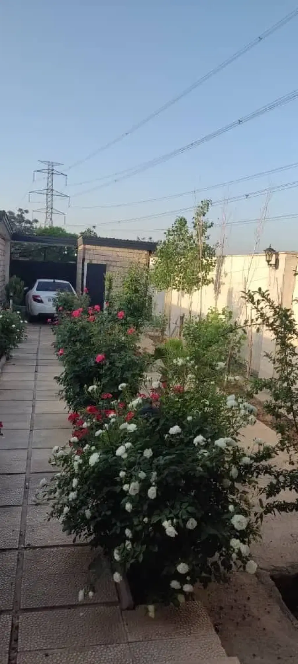 فروش خانه و ویلا 250 متری در جنت‌آباد جنوبی - تصویر 6