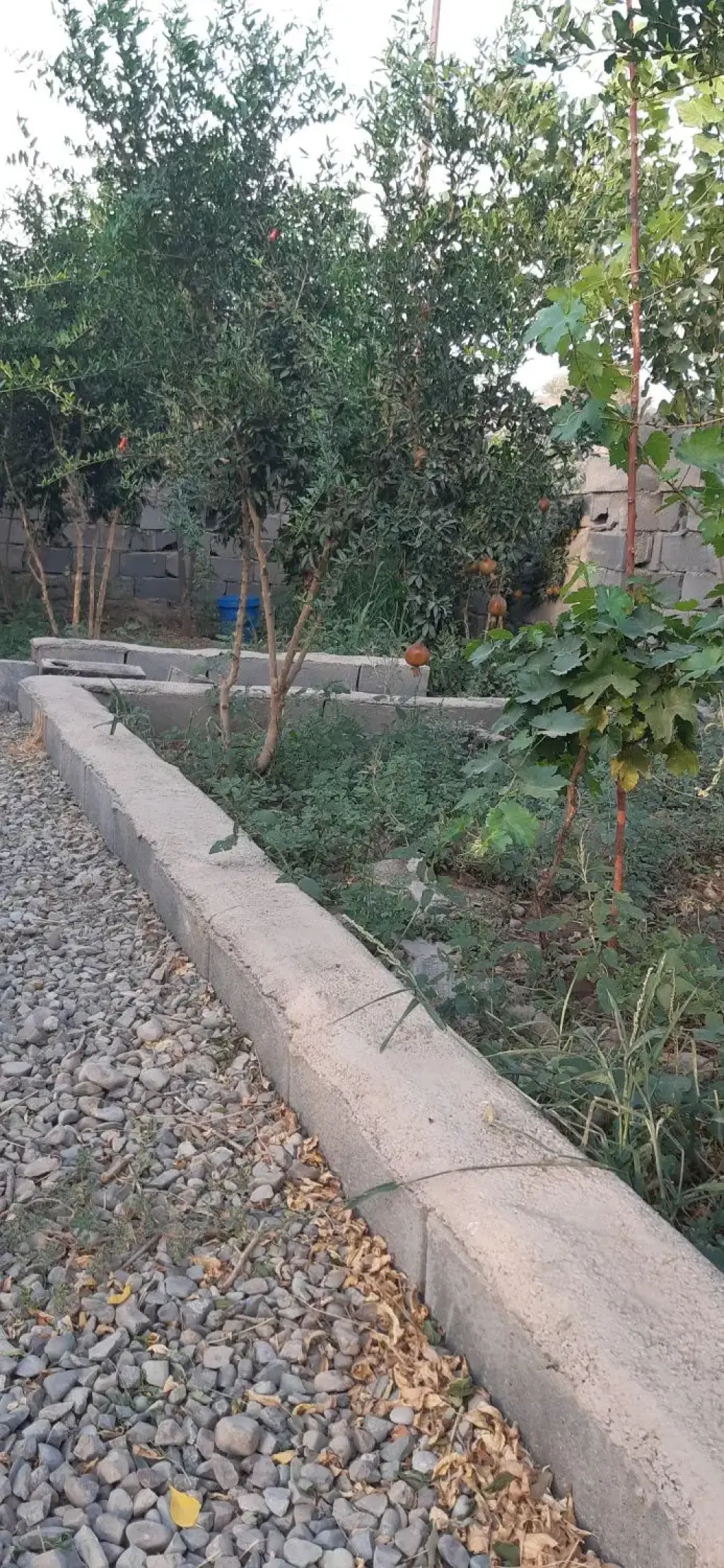 فروش اداری و تجاری 285 متری در کیانشهر - تصویر 8