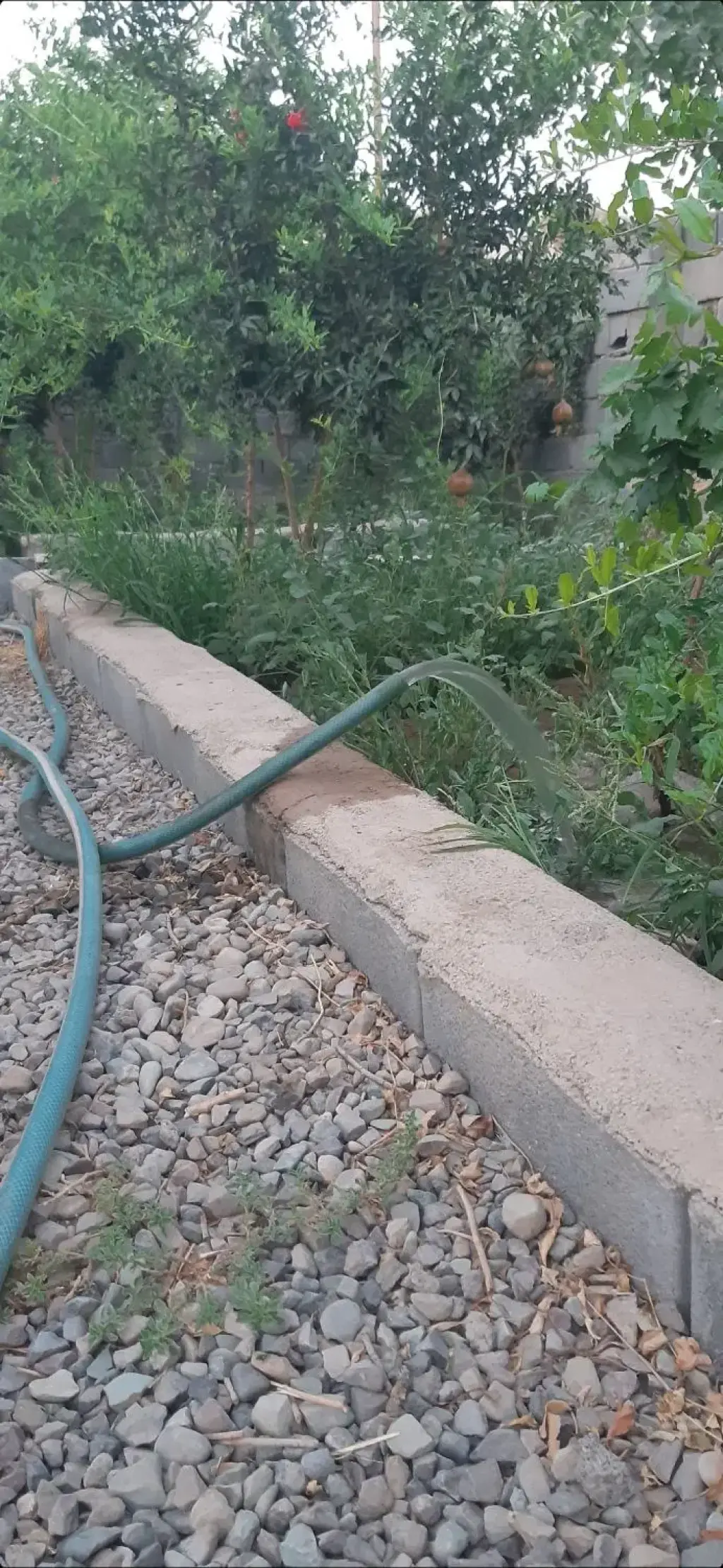 فروش اداری و تجاری 285 متری در کیانشهر - تصویر 18