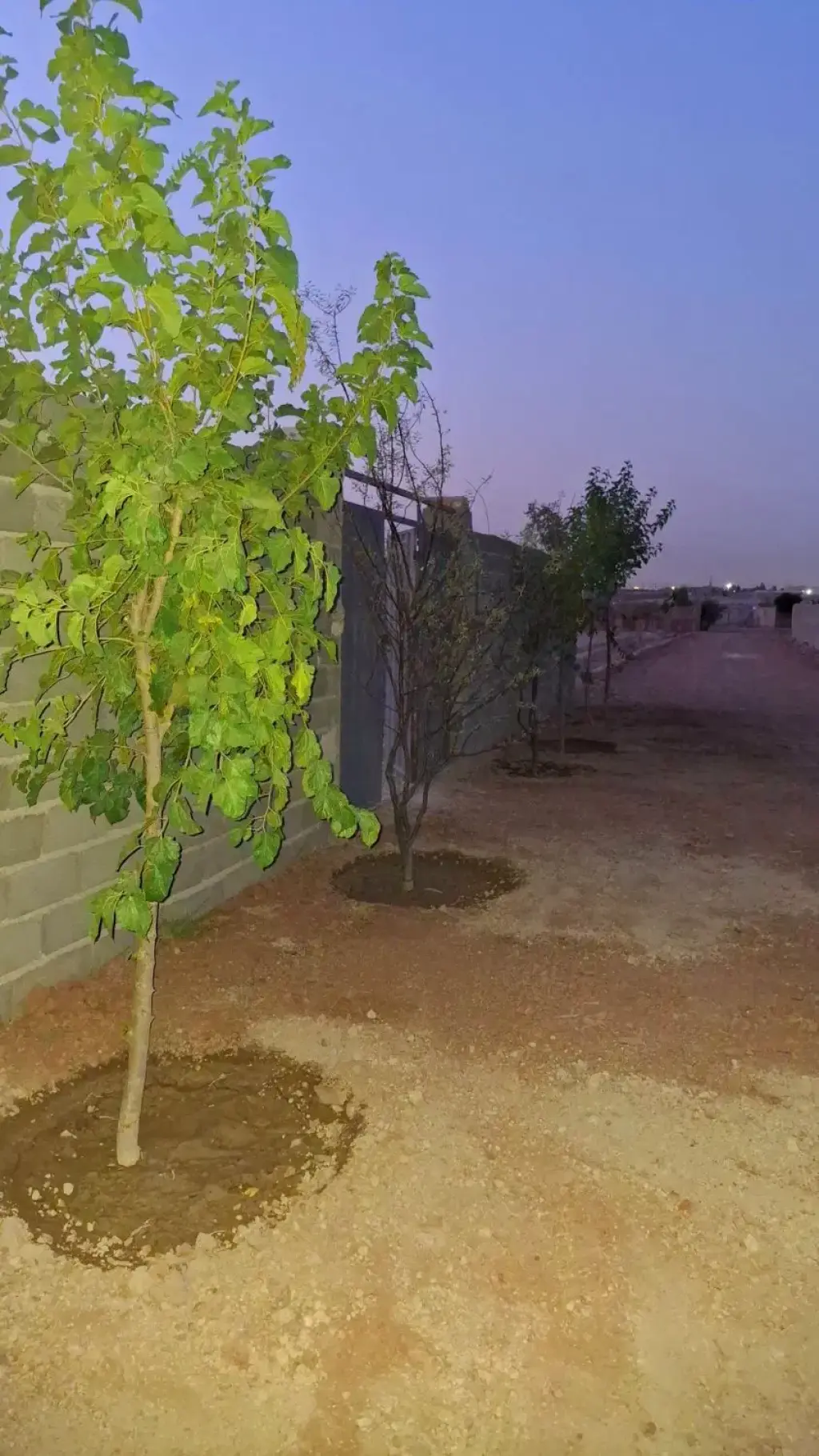 فروش زمین و کلنگی 209 متری در یافت آباد جنوبی - تصویر 5