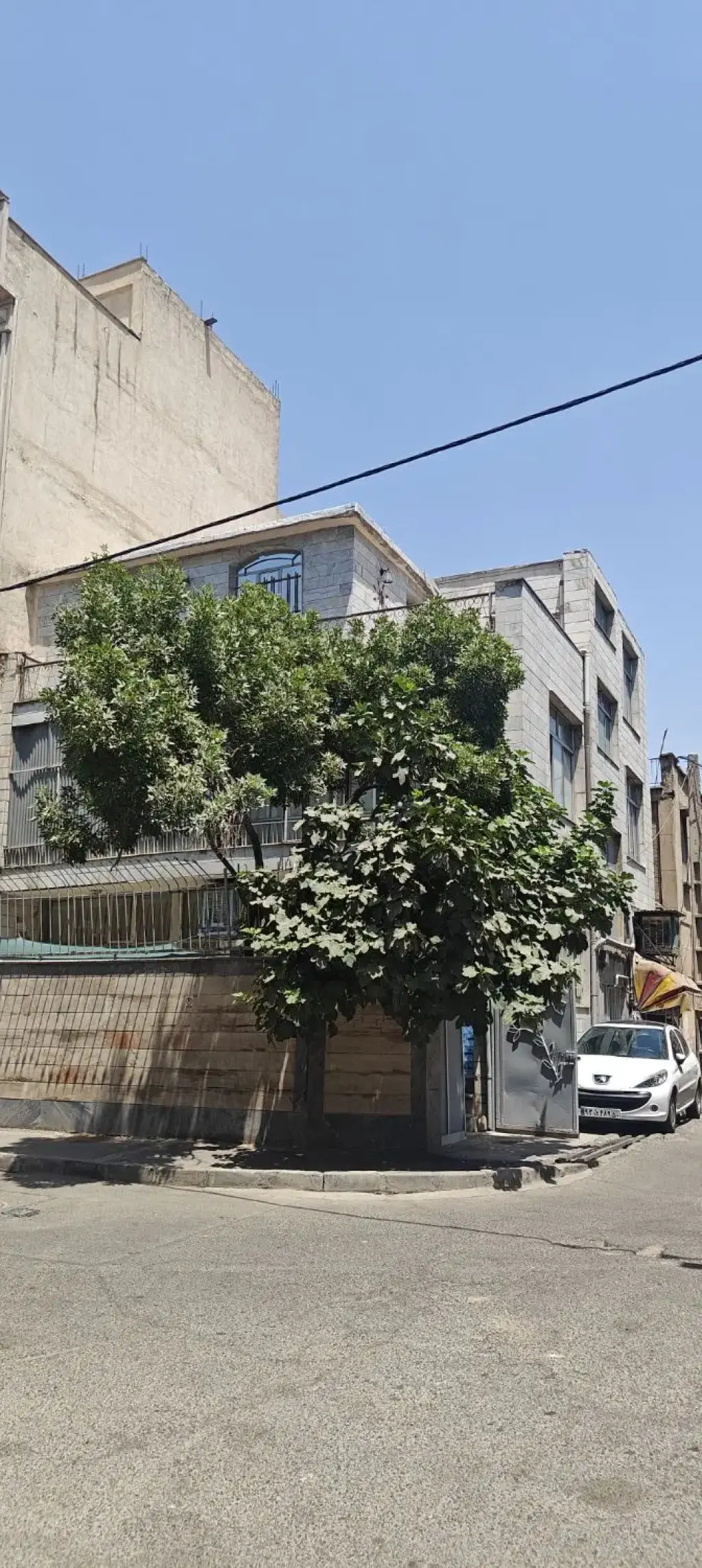 فروش زمین و کلنگی 150 متری در امام زاده عبدالله - تصویر 3