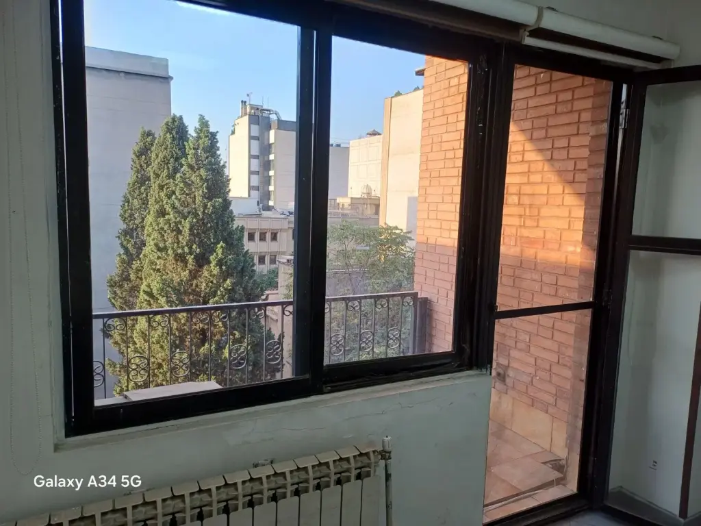 اجاره اداری و تجاری 251 متری در آرژانتین - تصویر 2