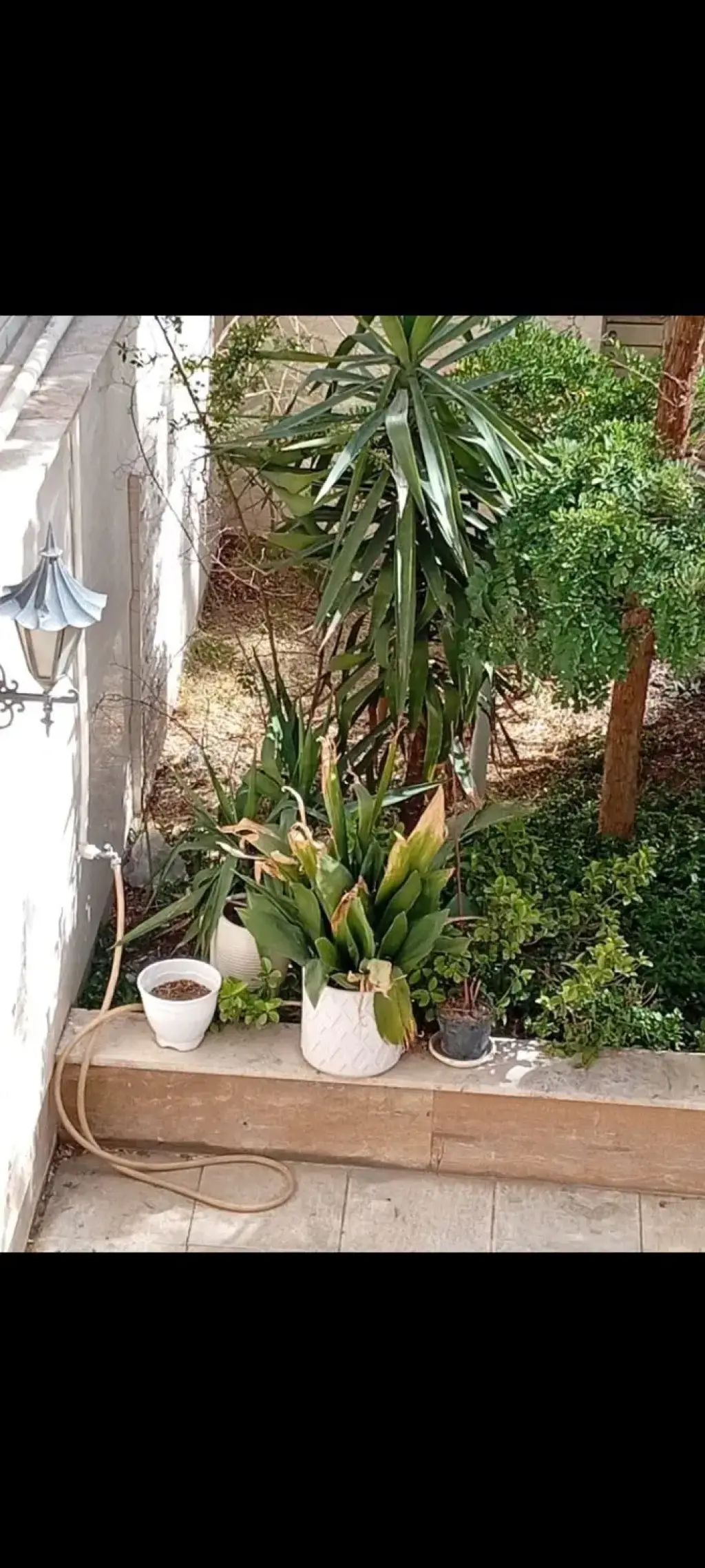 اجاره خانه و ویلا 300 متری در هفت حوض - تصویر 2