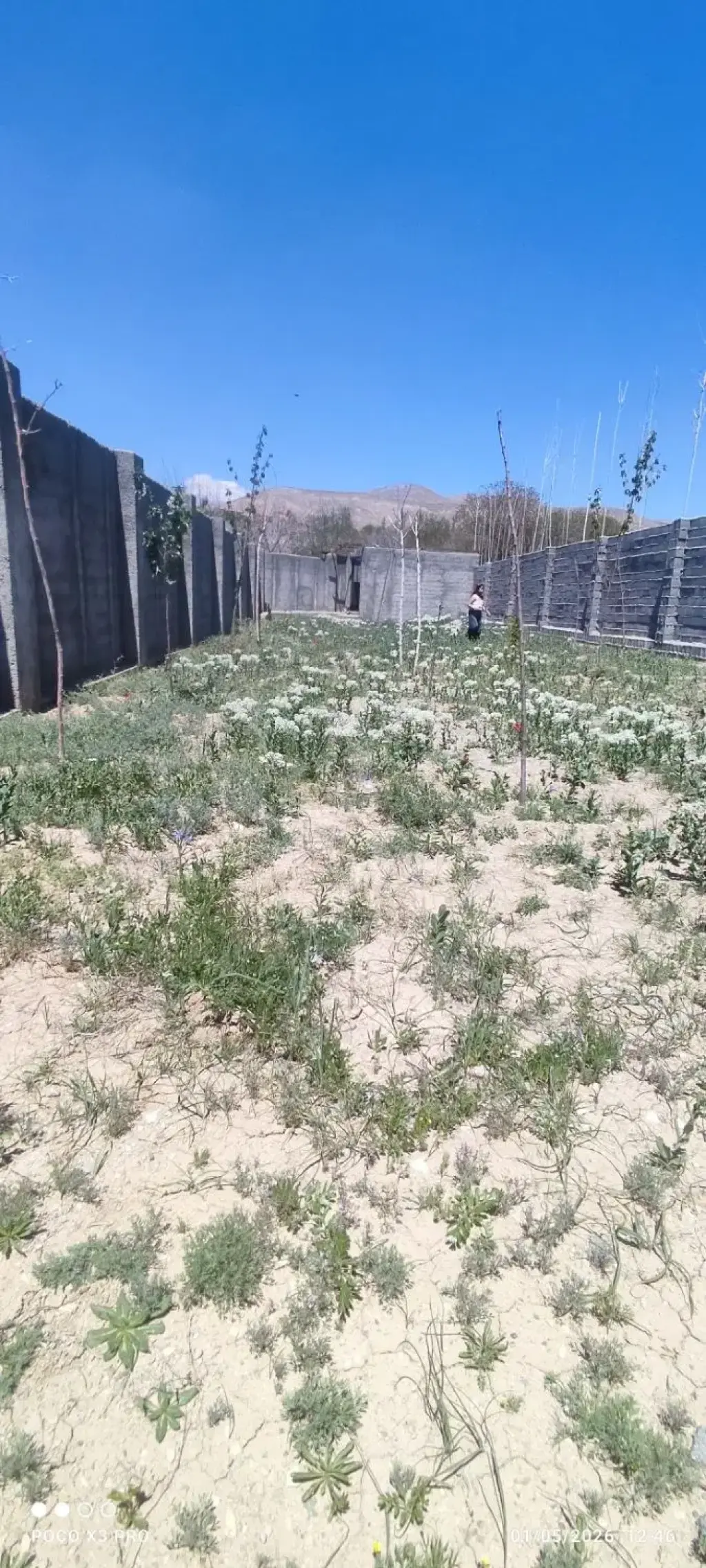 فروش زمین و کلنگی 250 متری در خانی آباد نو جنوبی - تصویر 2