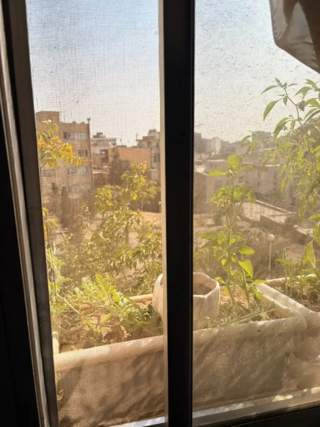 اجاره آپارتمان 115 متری در آرژانتین - تصویر 9