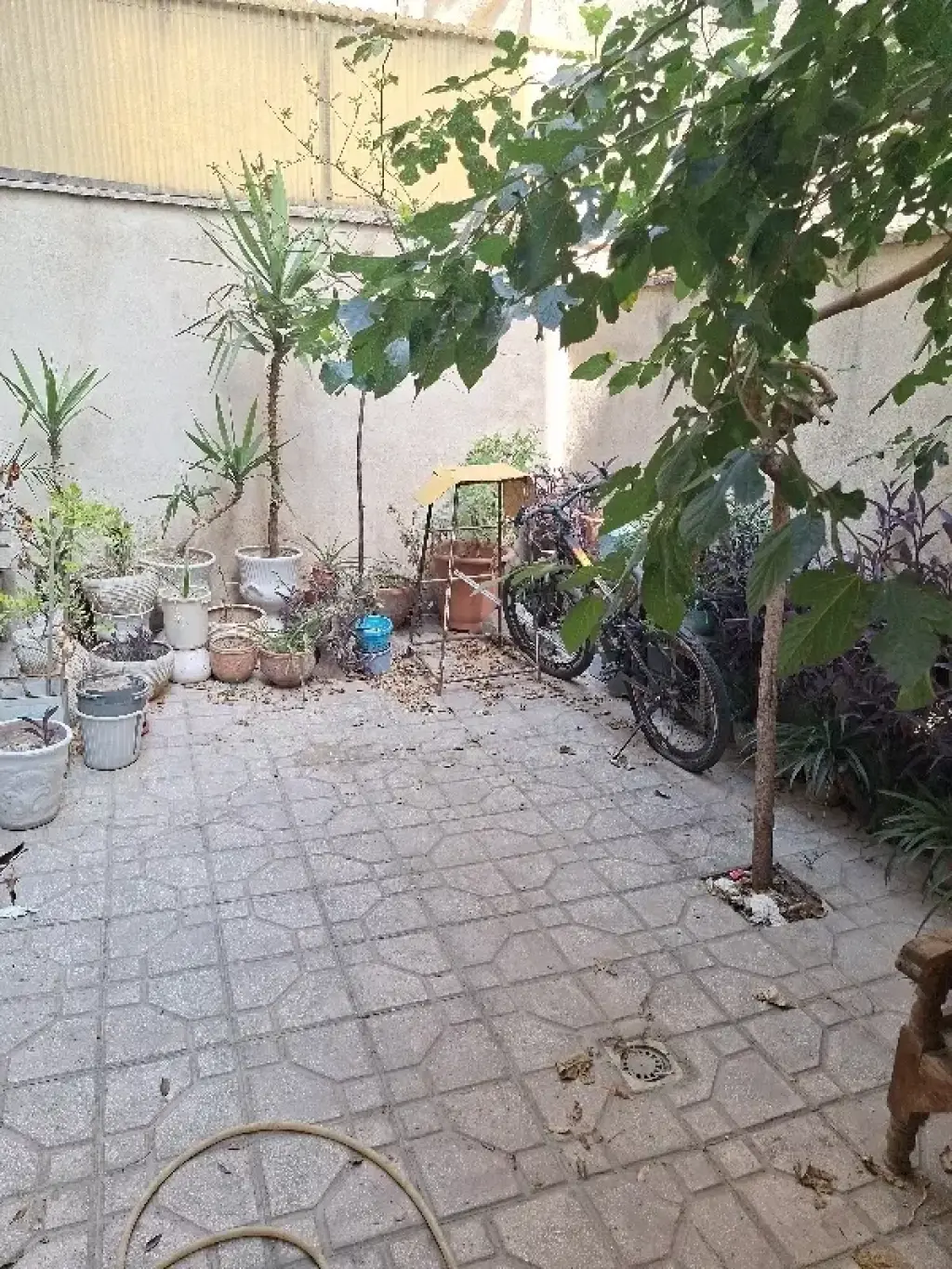 اجاره خانه و ویلا 100 متری در جوادیه