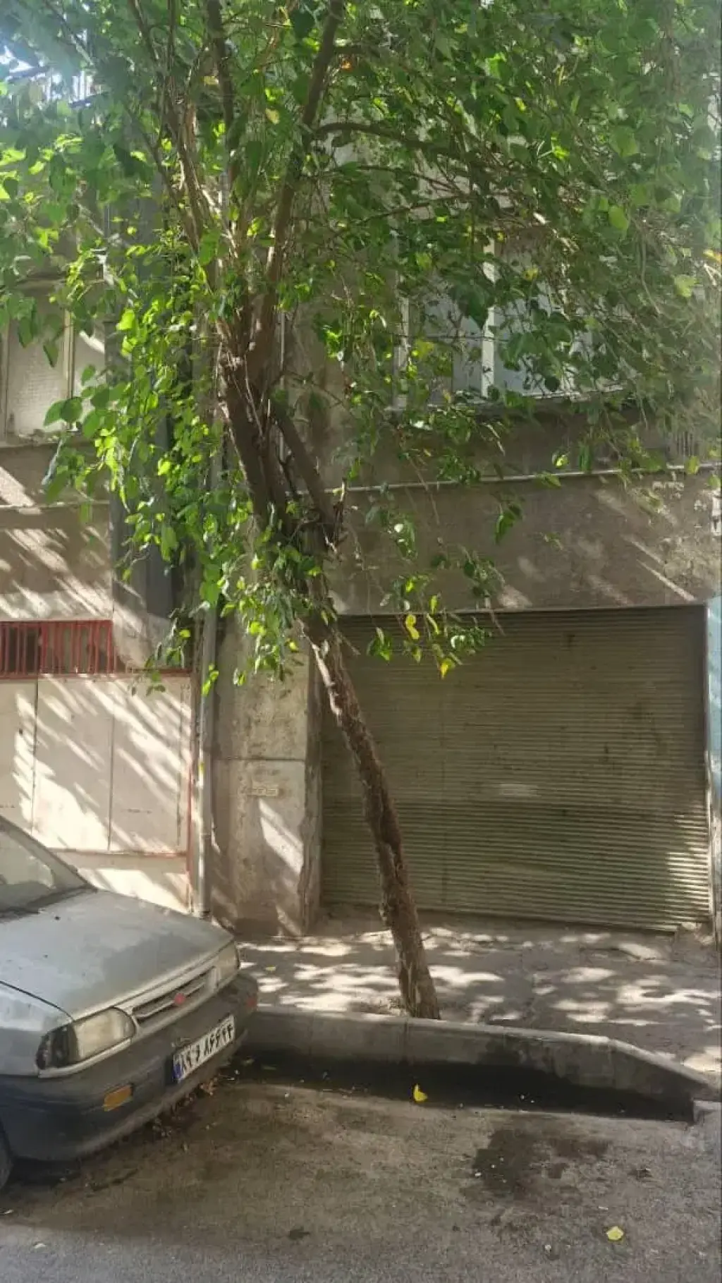 فروش زمین و کلنگی 60 متری در کرمان - تصویر 5