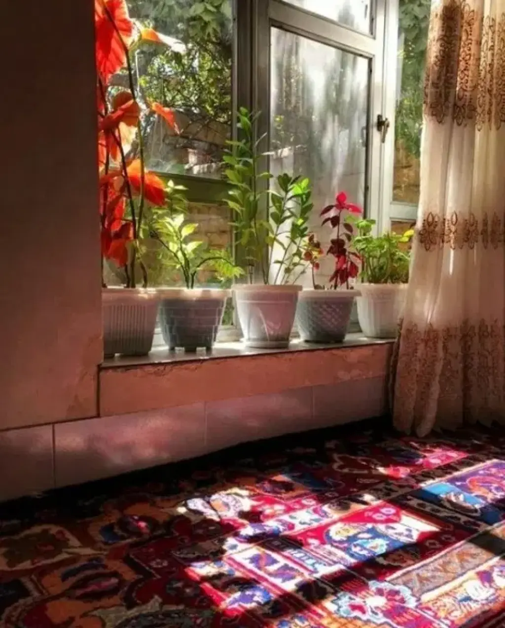 اجاره خانه و ویلا 70 متری در فلاح