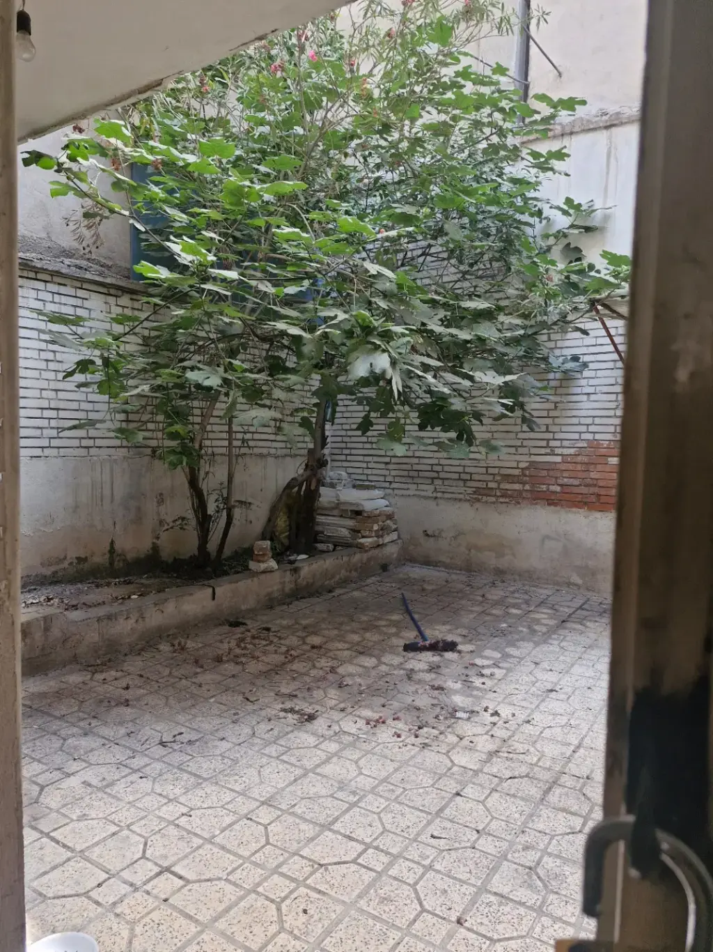 اجاره خانه و ویلا 160 متری در سنگلج (شاپور) - تصویر 4