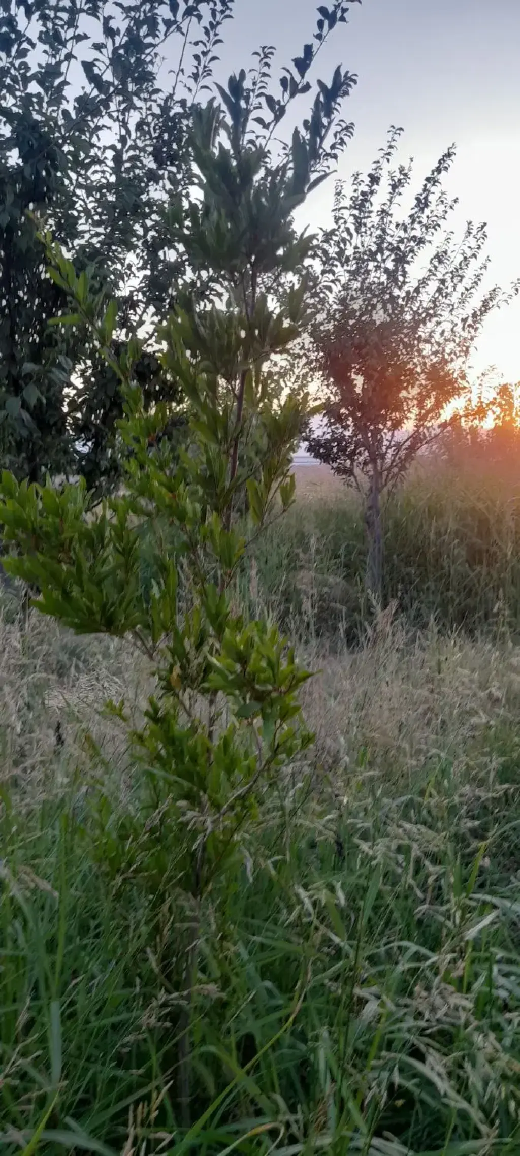 فروش اداری و تجاری 1000 متری در خانی‌آباد - تصویر 9