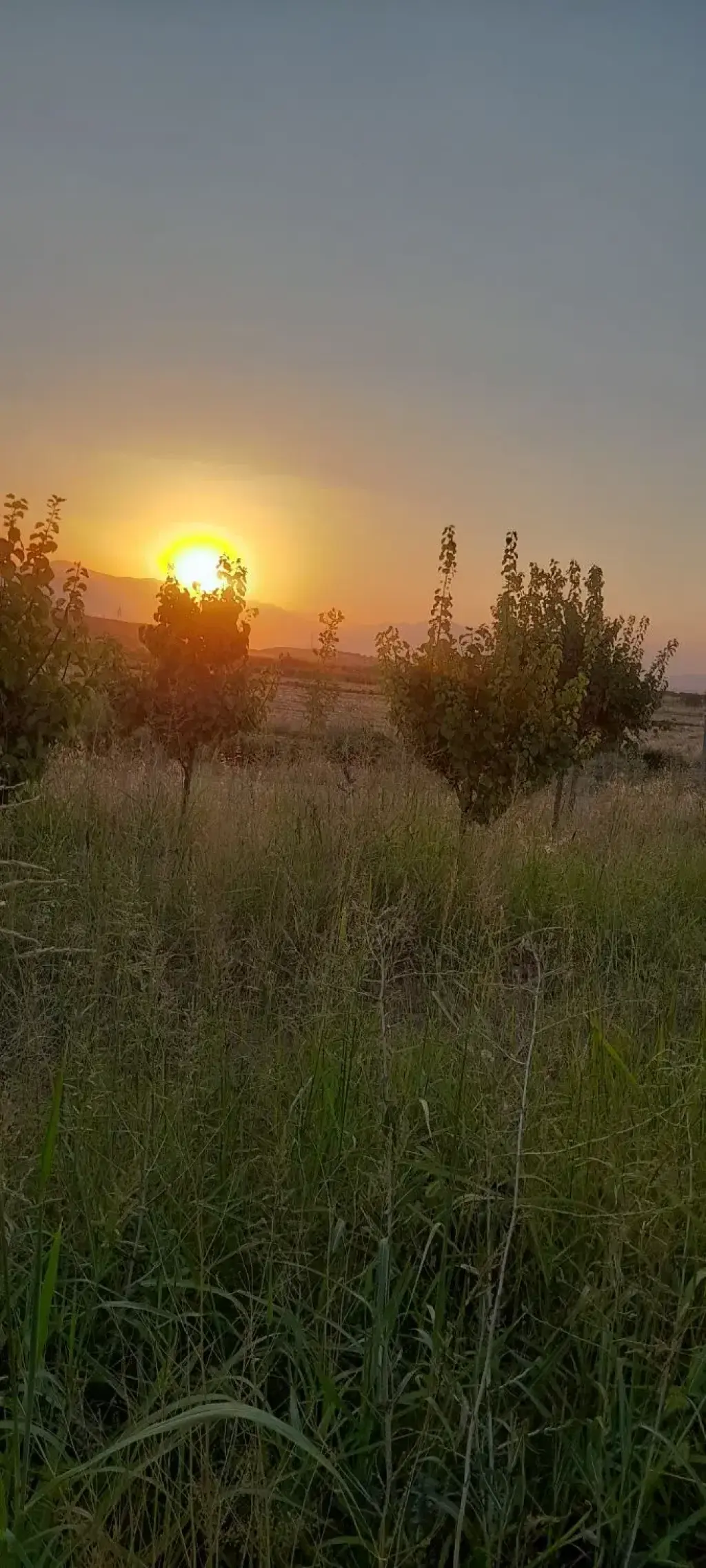 فروش اداری و تجاری 1000 متری در خانی‌آباد - تصویر 7