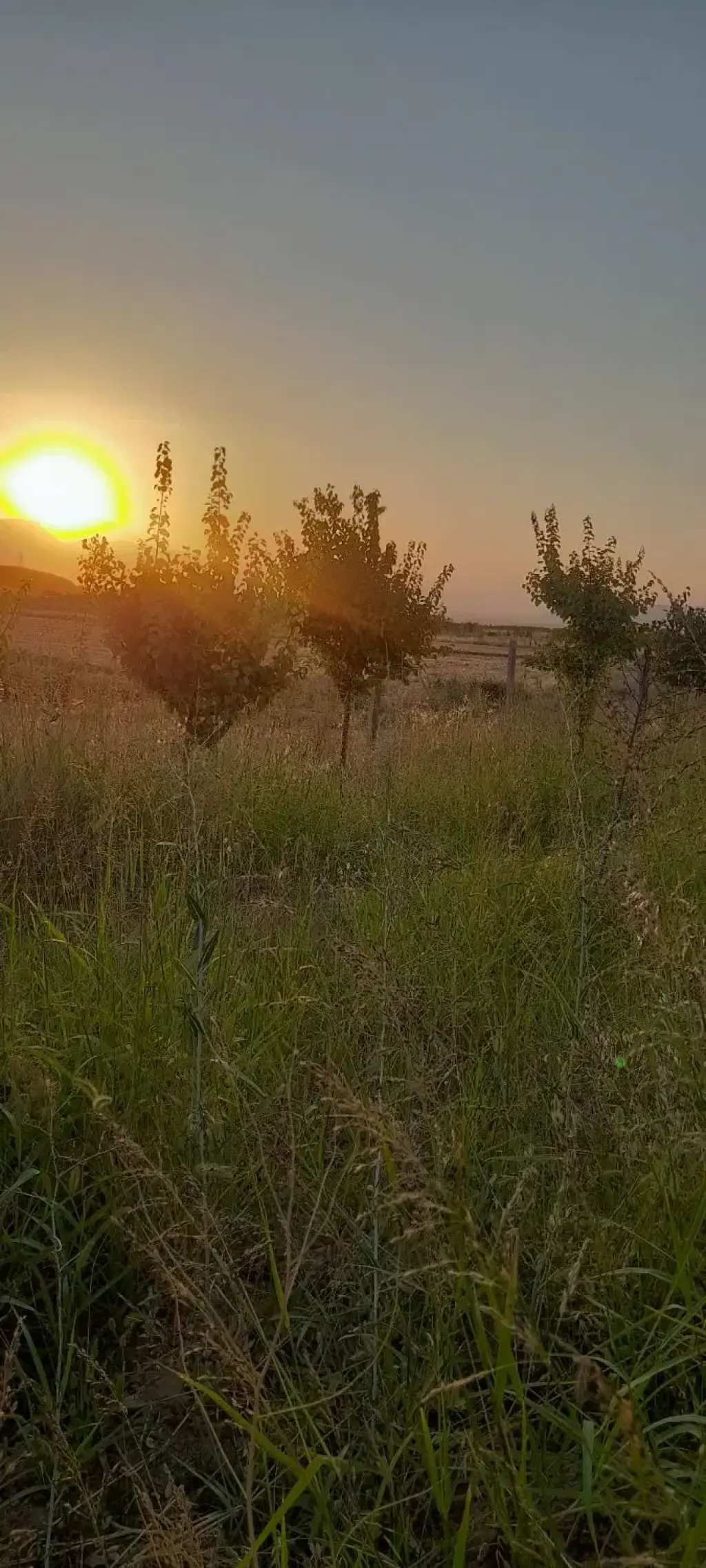 فروش اداری و تجاری 1000 متری در خانی‌آباد - تصویر 5
