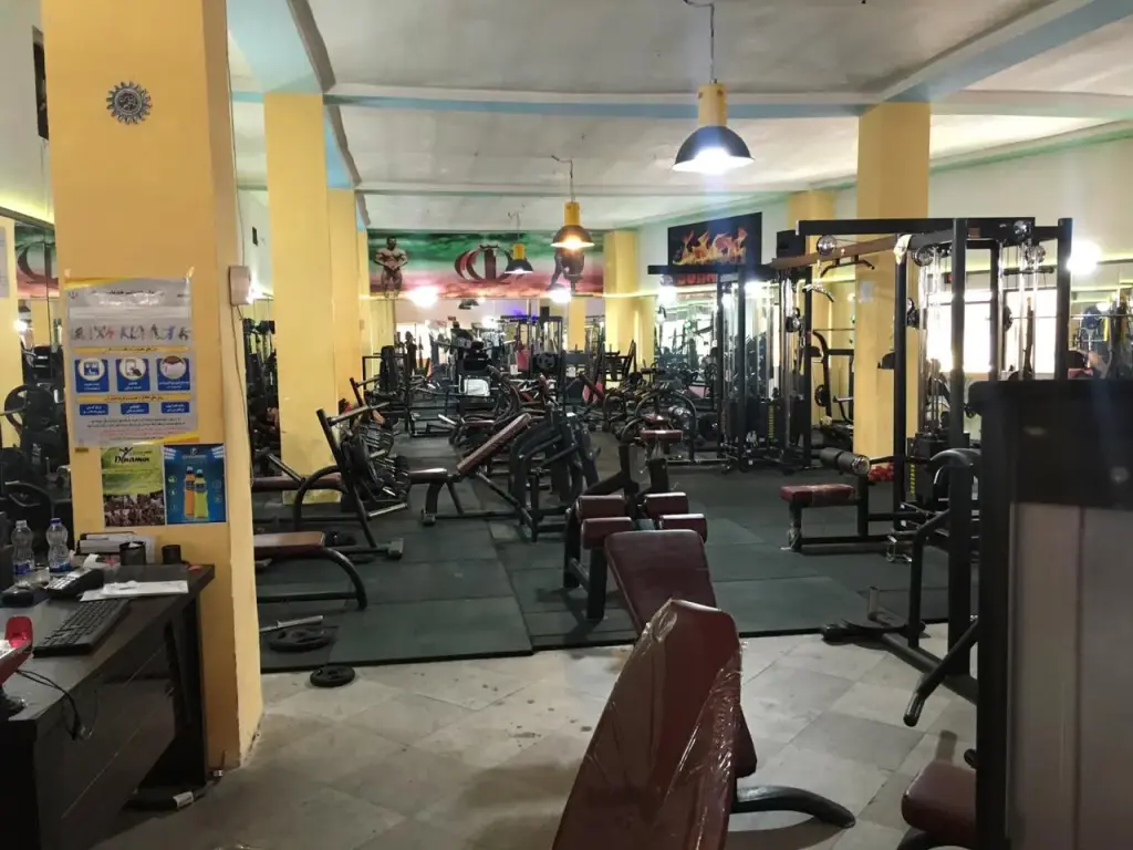 فروش زمین و کلنگی 1600 متری در یافت آباد شمالی - تصویر 8