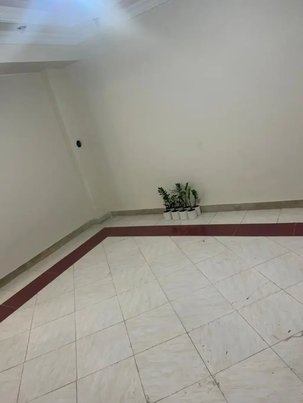 اجاره آپارتمان 50 متری در بلورسازی - تصویر 6