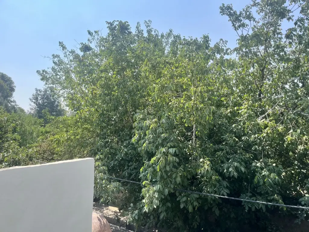 فروش خانه و ویلا 90 متری در تهرانسر مرکزی - تصویر 9