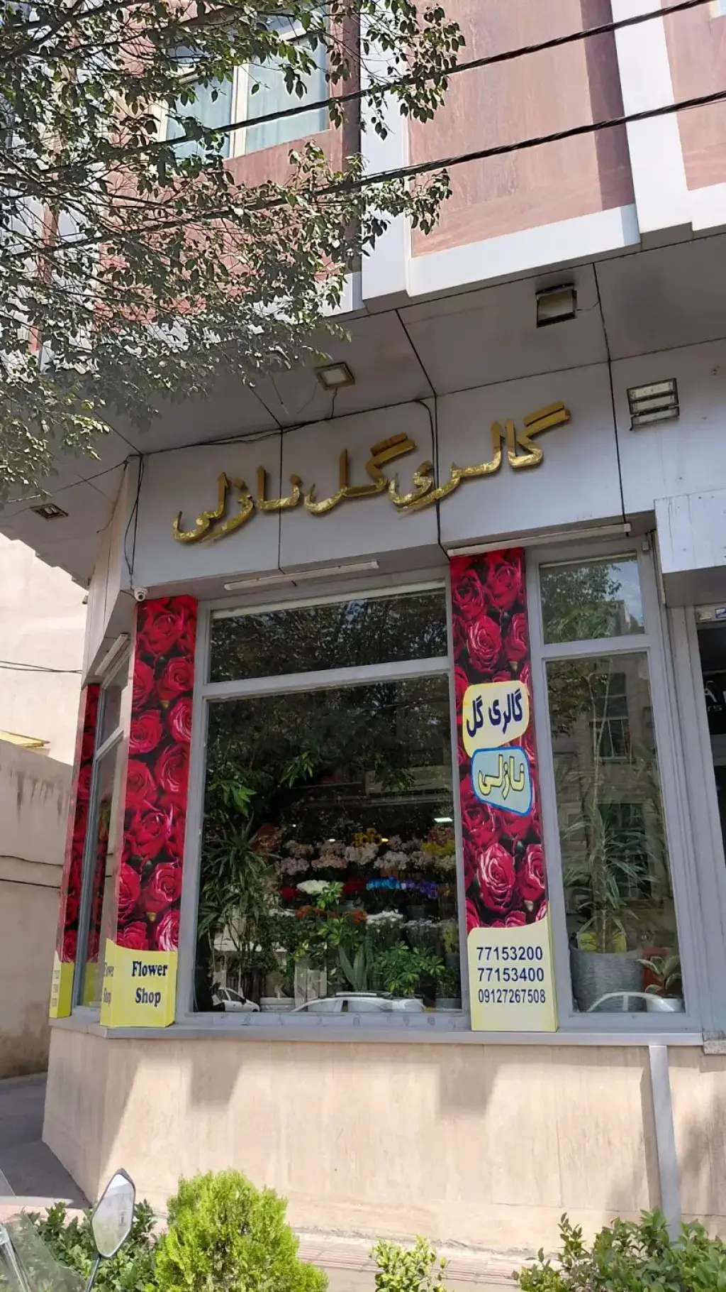 اجاره اداری و تجاری 36 متری در پرستار