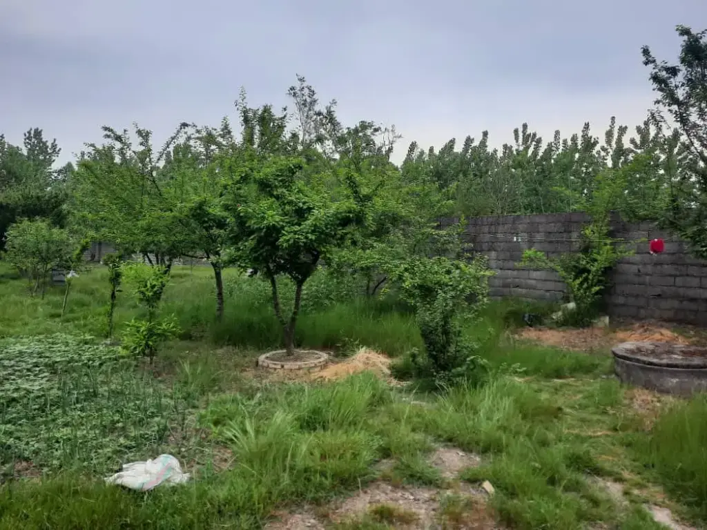 فروش خانه و ویلا 2550 متری در بهارستان - تصویر 2