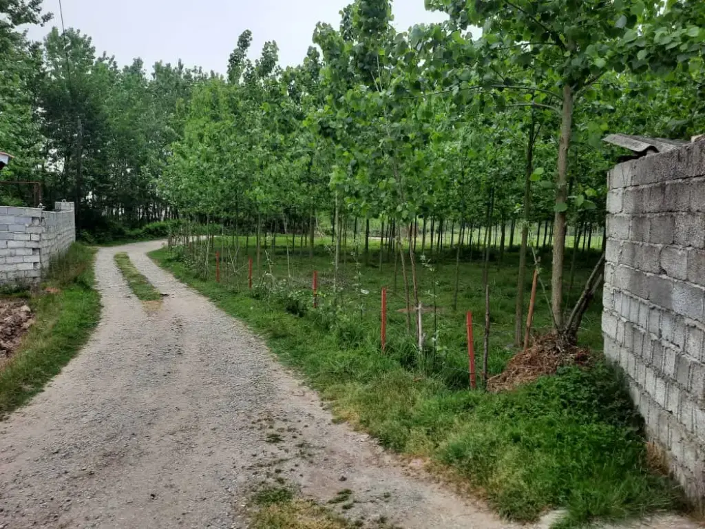 فروش خانه و ویلا 2550 متری در بهارستان - تصویر 5