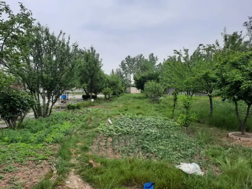 فروش خانه و ویلا 2550 متری در بهارستان - تصویر 13