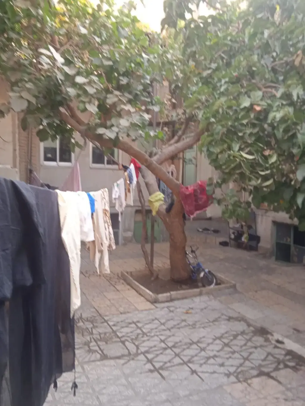 اجاره خانه و ویلا 240 متری در مولوی