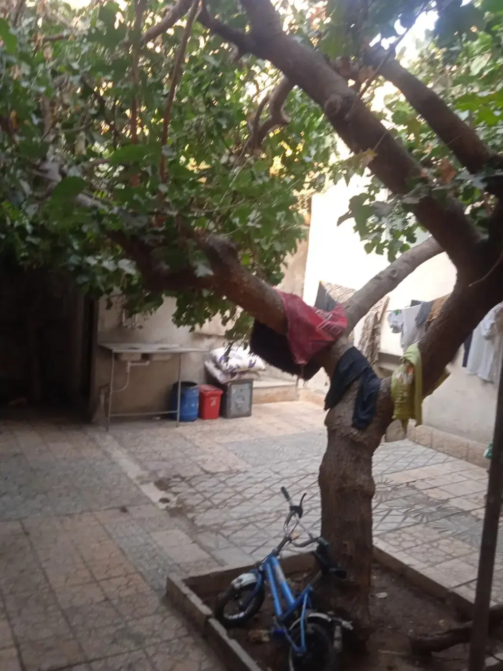 اجاره خانه و ویلا 240 متری در مولوی - تصویر 2