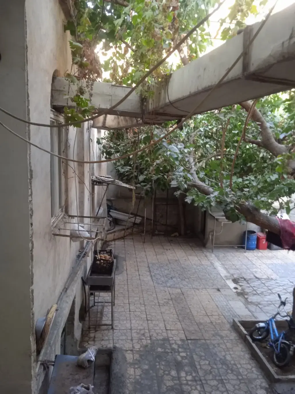 اجاره خانه و ویلا 240 متری در مولوی - تصویر 4