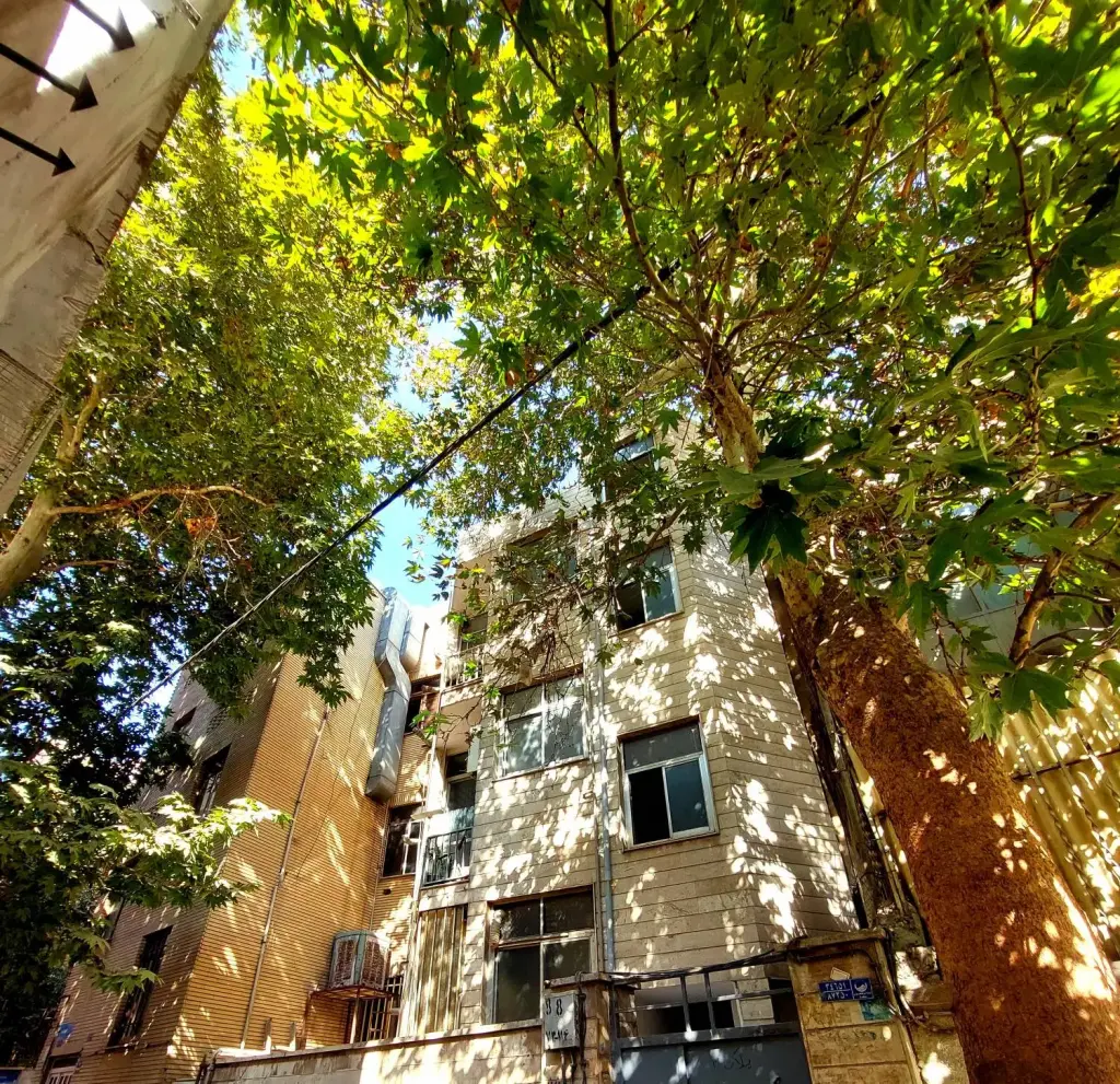 اجاره آپارتمان 37 متری در هاشمی - تصویر 6