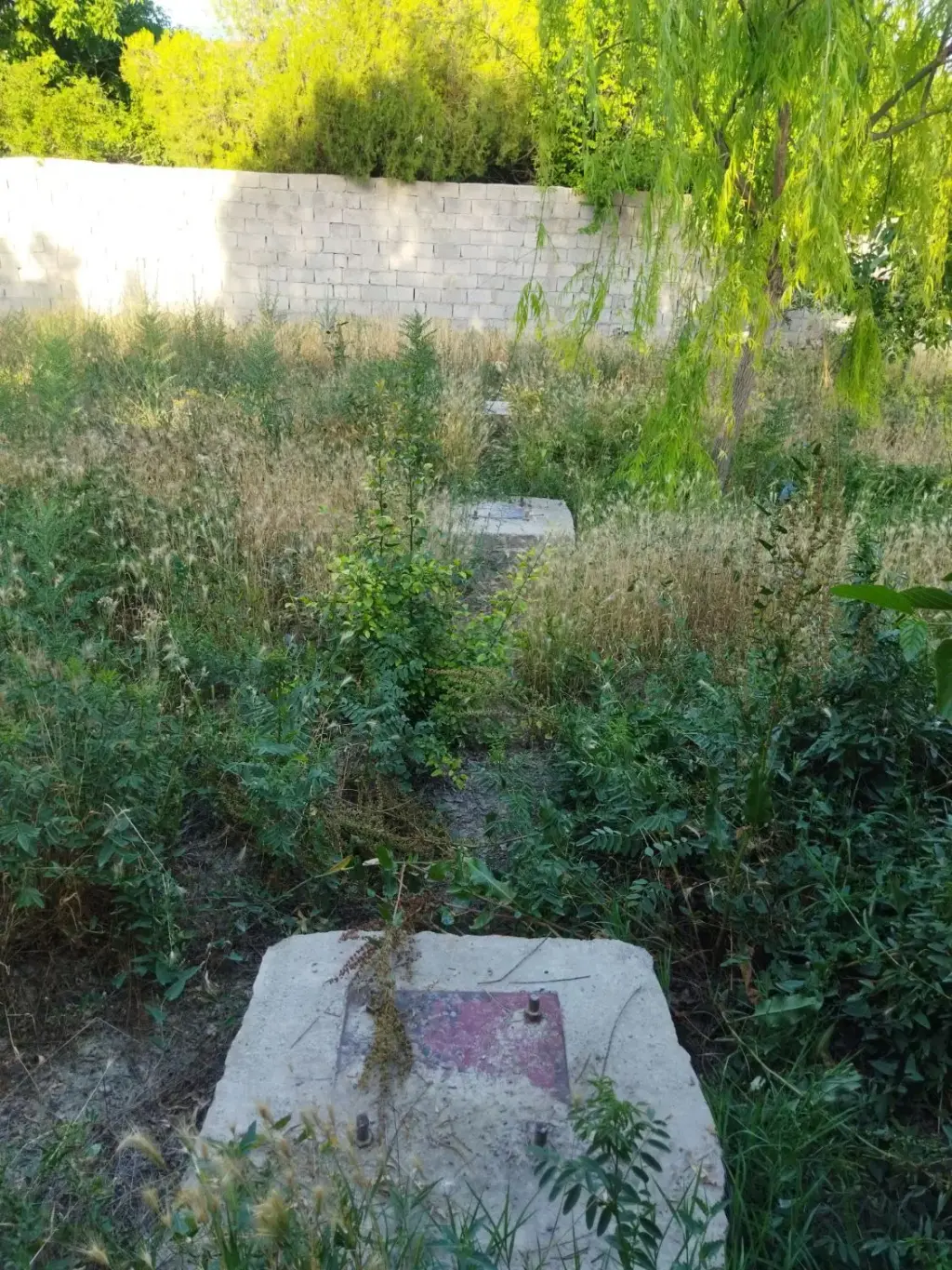 فروش زمین و کلنگی 490 متری در شهرک صدرا - تصویر 2