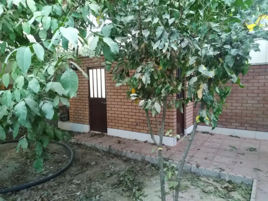 فروش خانه و ویلا 600 متری در جمهوری - تصویر 7