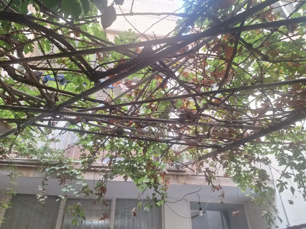 فروش زمین و کلنگی 85 متری در نازی‌آباد - تصویر 3