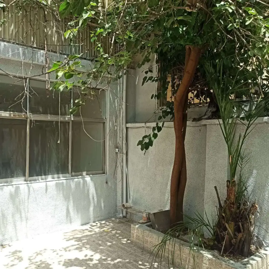 اجاره خانه و ویلا 70 متری در نازی‌آباد - تصویر 11