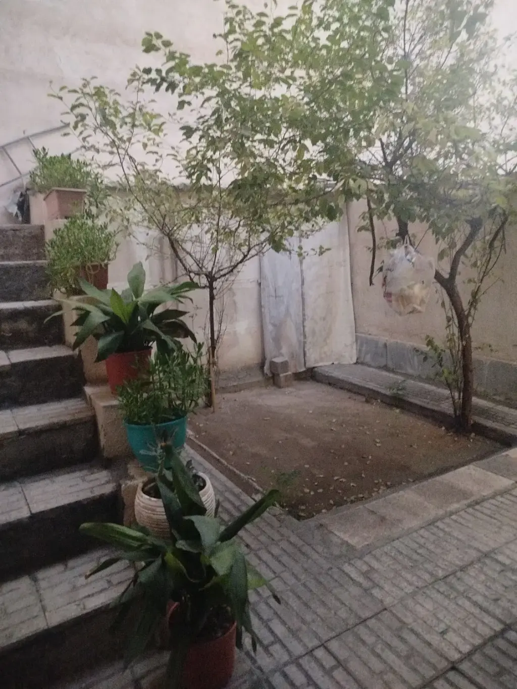 اجاره خانه و ویلا 40 متری در استخر - تصویر 15